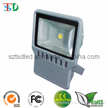 80W High Power LED Projector Light (TD-FLJW80-01)